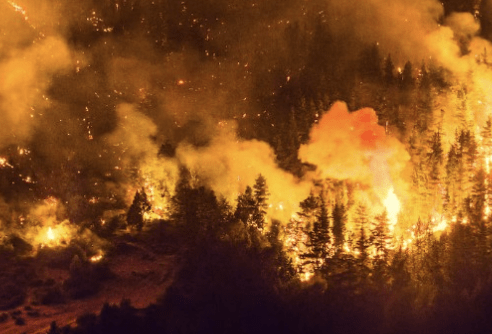 El Gobierno declarará por DNU la Emergencia Ígnea en cuatro&nbsp;provincias