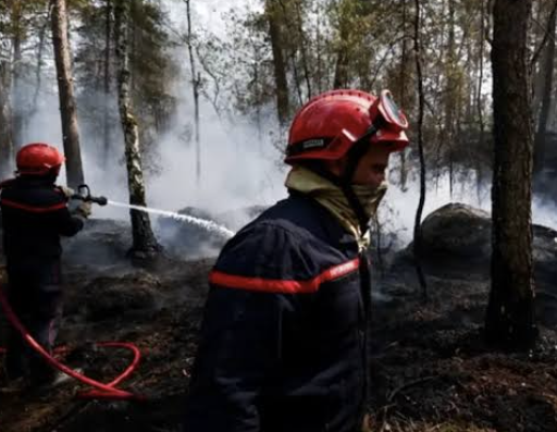 Detuvieron a seis personas por el incendio que devastó más de 2.000 hectáreas del bosque de Fontainebleau